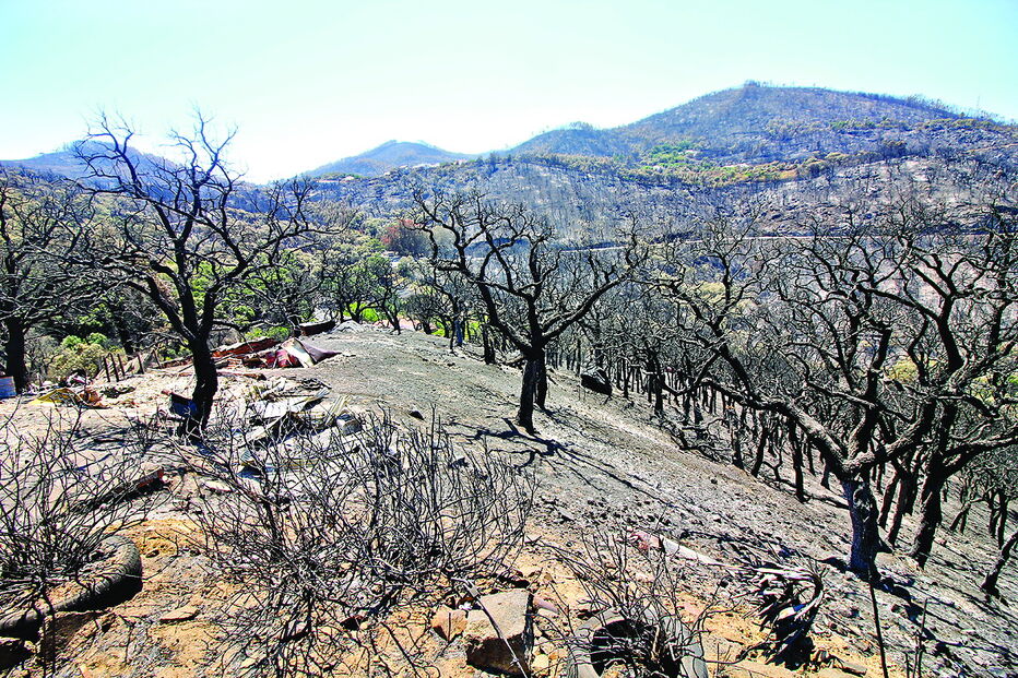 Chamas começaram no concelho de Monchique e alastraram ainda a Portimão, Odemira e Silves
