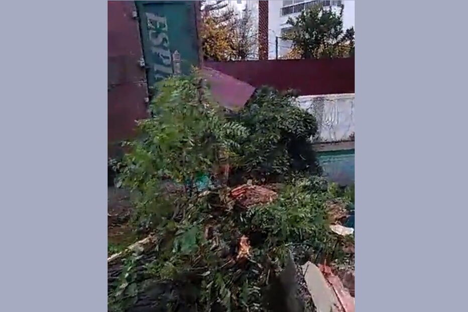 Camião despista-se em Elvas