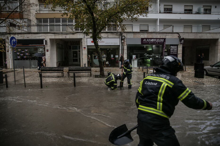 2018-11-29_17_23_33 M2-17355127.JPG