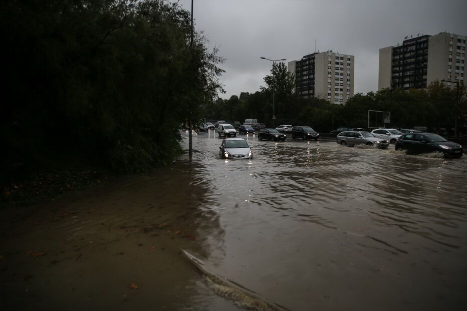 2018-11-29_17_23_34 M2-17355134.JPG