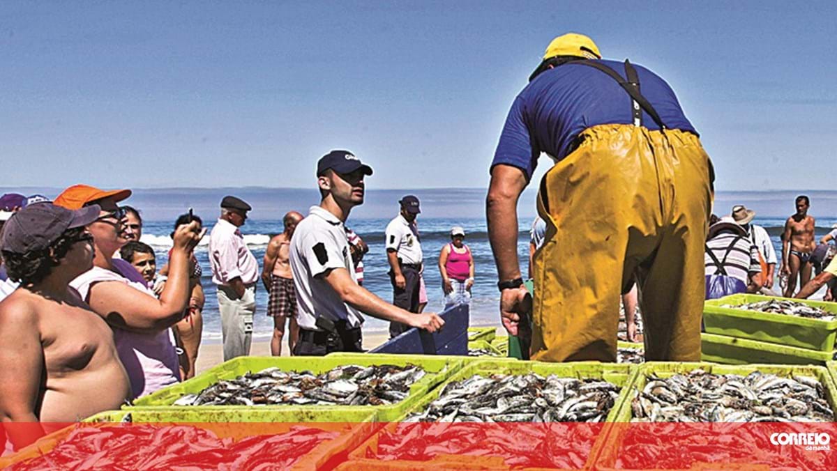 Pesca do carapau proibida a partir de hoje após a frota portuguesa ter esgotado esta quota – Sociedade