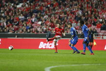 Jogadores em ação no Benfica - Feirense