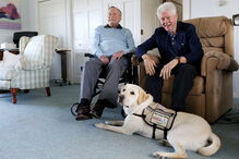 Sully era o amigo fiel de quatro patas de George H. W. Bush