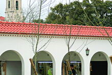 Fátima é uma das cidades que mais turistas recebe todos os anos em Portugal 