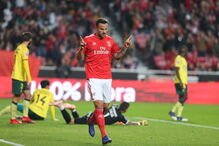 Encarnados celebram golo marcado por Seferovic