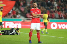 Encarnados celebram golo marcado por Seferovic