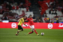 Jogo Benfica - Paços de Ferreira