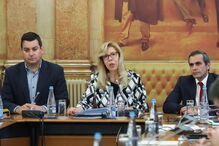 Deputada do PSD Mercês Borges demite-se de todos os cargos no grupo parlamentar