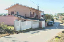 Cinco pessoas intoxicadas por cogumelos em Viseu