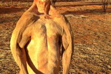 Morreu Roger, o canguru musculado