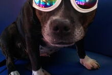 Princesa Cleópatra Superchill