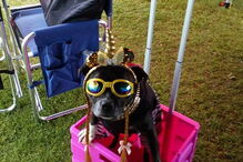 Princesa Cleópatra Superchill