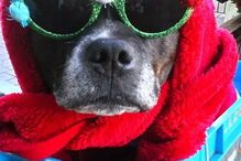 Princesa Cleópatra Superchill