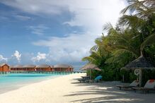 maria cerqueira gomes