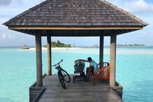 maria cerqueira gomes