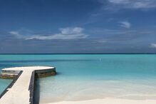 maria cerqueira gomes