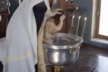 Padre força menina a mergulhar em água benta porque o 