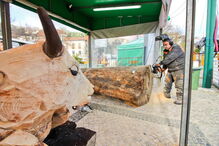 Nelson Ramos de 44 anos aceitou o desafio do presidente da Câmara Municipal de Monchique e está a esculpir até domingo dia 17, um presépio de madeira em tamanho real com moto-serras no largo de Monchique