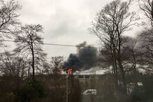 Fogo no zoo de Chester matou vários animais