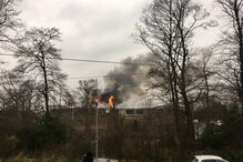 Fogo no zoo de Chester matou vários animais