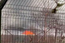 Fogo no zoo de Chester matou vários animais