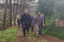 Trabalhos de estabilização de terrenos começaram ontem a ser feitos na área da Herdade da Talhadinha, em Silves  