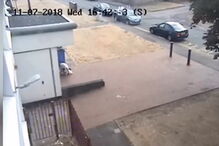 Cães morrem ao calor dentro de carro após dono se esquecer deles