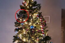 Novo desafio da Internet: descubra onde se escondeu o gato na árvore de Natal