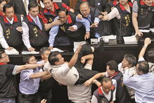 O Parlamento de Taiwan ganhou o Ig Nobel da Paz em 1995 por demonstrar que os deputados ganham maior notoriedade em andar ao murro e ao pontapé do que se declarassem guerra a outros países 