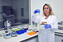 Alexandra Fernandes mostra como funciona