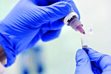 A plataforma foi desenvolvida na Universidade Nova de Lisboa 