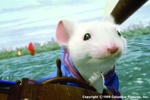 O Pequeno Stuart Little’ é a aposta da CMTV para a tarde de amanhã ( passa às 16h27) 