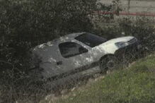  Condutor sente-se mal e sofre queda mortal após despiste