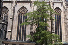 Catedral de Santo Estêvão