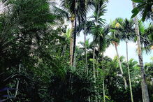 A filha mais velha, Daniela, também não perdeu a viagem