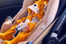 2018-12-30_18_31_13 hyndia_47689803_452641808602209_765087501171202796_n (1).jpg