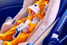 O pequeno Lonô vestido de leão à saída da maternidade