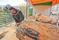 Nelson Ramos de 44 anos aceitou o desafio do presidente da Câmara Municipal de Monchique e está a esculpir até domingo dia 17, um presépio de madeira em tamanho real com moto-serras no largo de Monchique