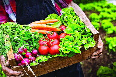 Nutricionistas defendem plano de segurança alimentar para situações de catástrofe