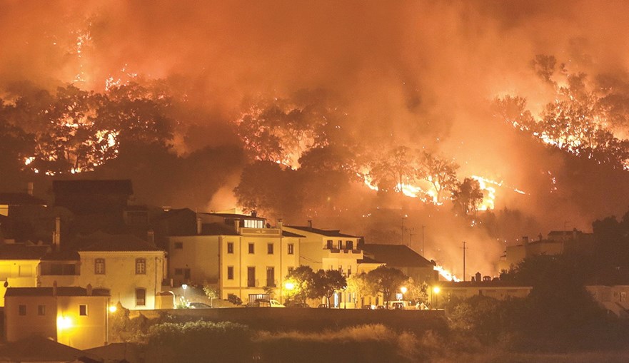 Incêndio de agosto destruiu 27 mil hectares em cinco concelhos