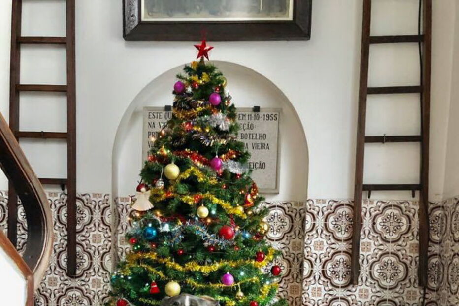 Cadela Nina é figura do calendário dos bombeiros de Viana do Castelo