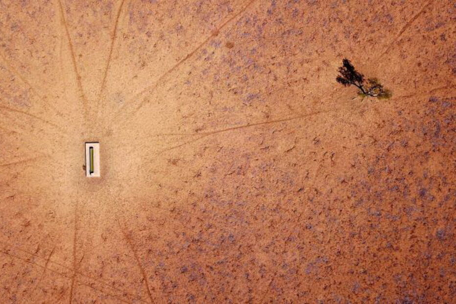 Imagens do ano, 2018, pics of the year