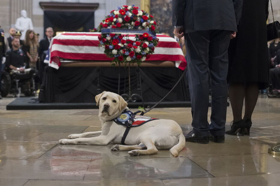 Sully, o cão de Bush