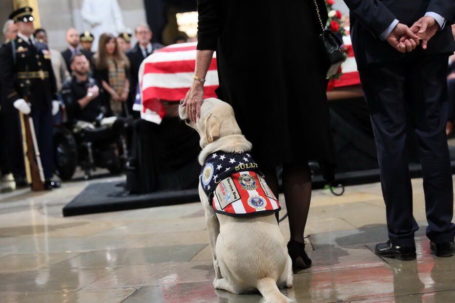 Sully, o cão de Bush
