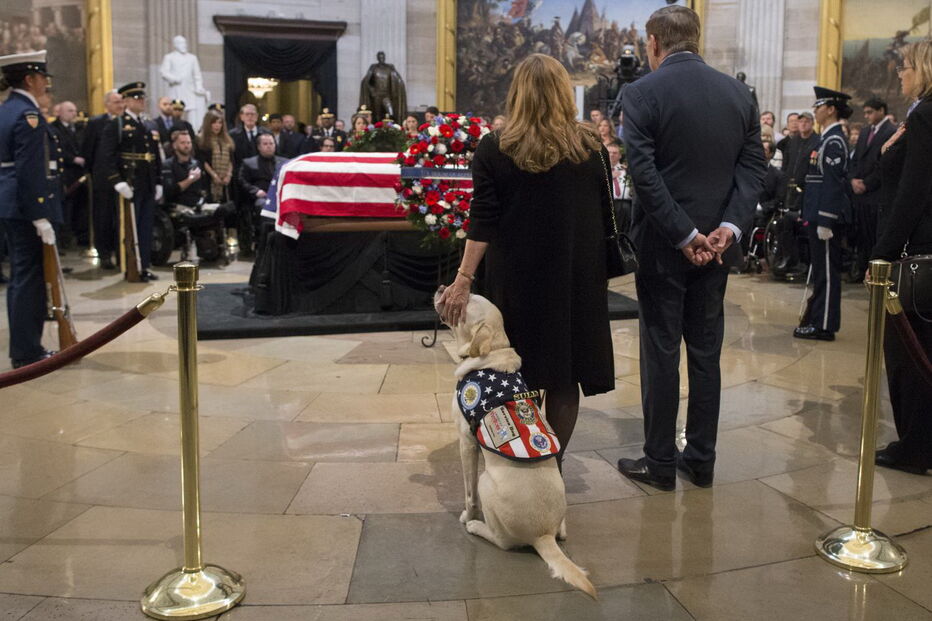 Sully, o cão de Bush