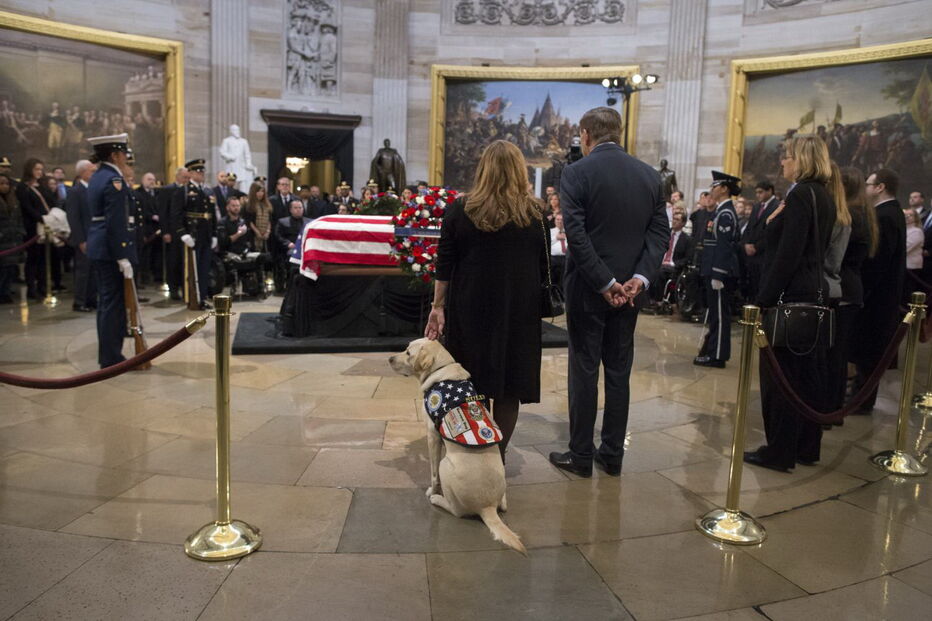 Sully, o cão de Bush