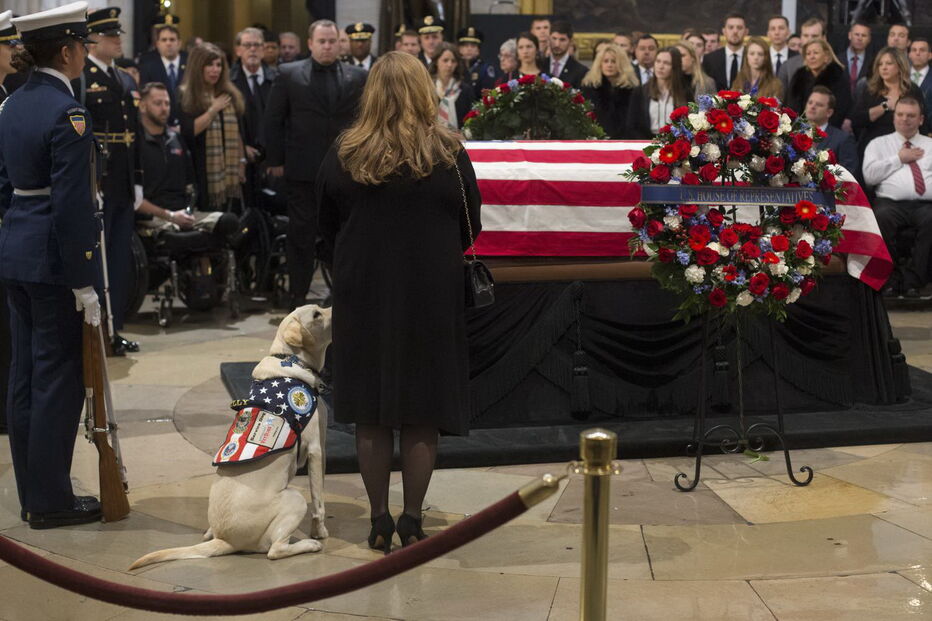 Sully, o cão de Bush