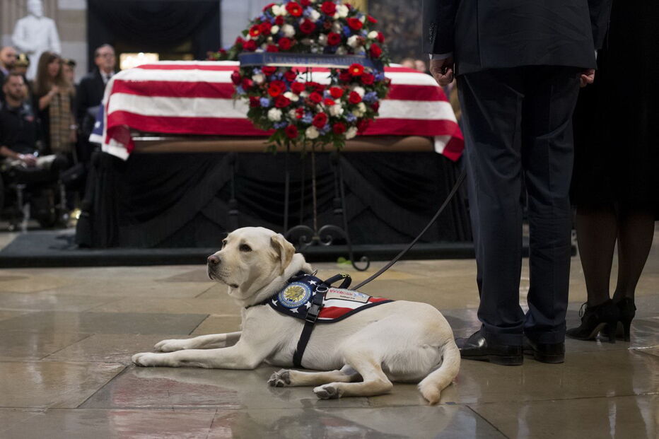 Sully, o cão de Bush