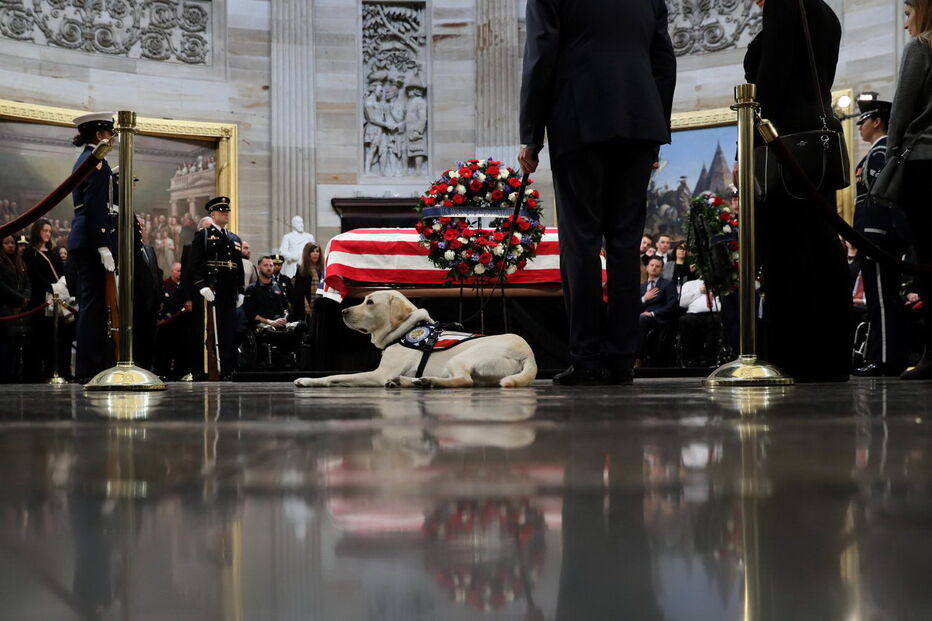 Sully, o cão de Bush