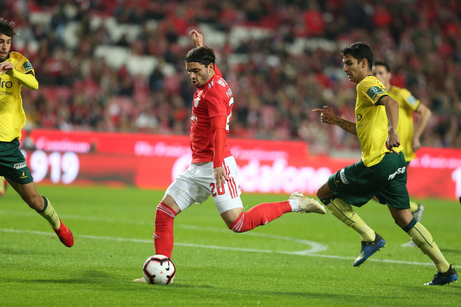 Jogo Benfica - Paços de Ferreira	